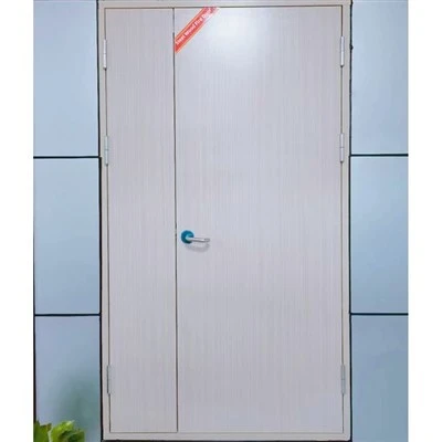 Steel Wood Fire Door
